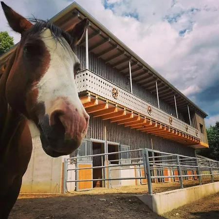 Erlebnisbauernhof Gutschi Ranch Kamp Exterior photo
