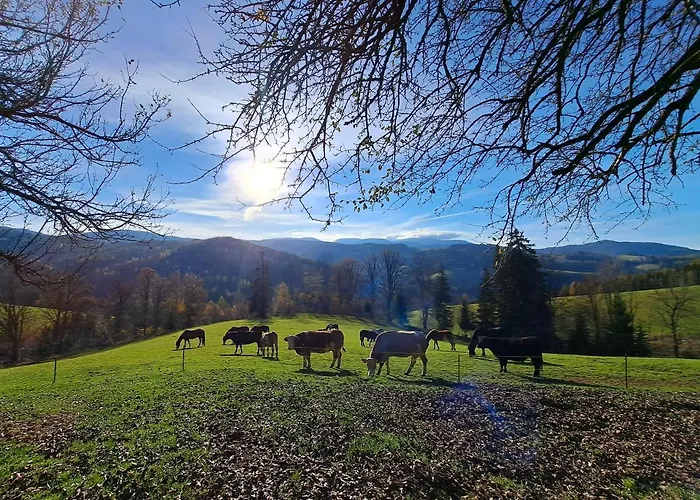 Erlebnisbauernhof Gutschi Ranch