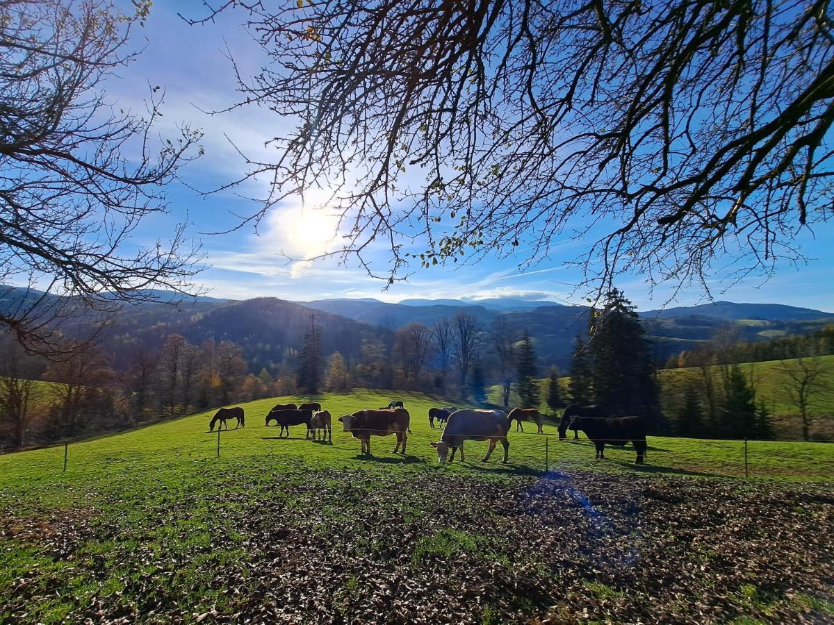 Gutschi Ranch