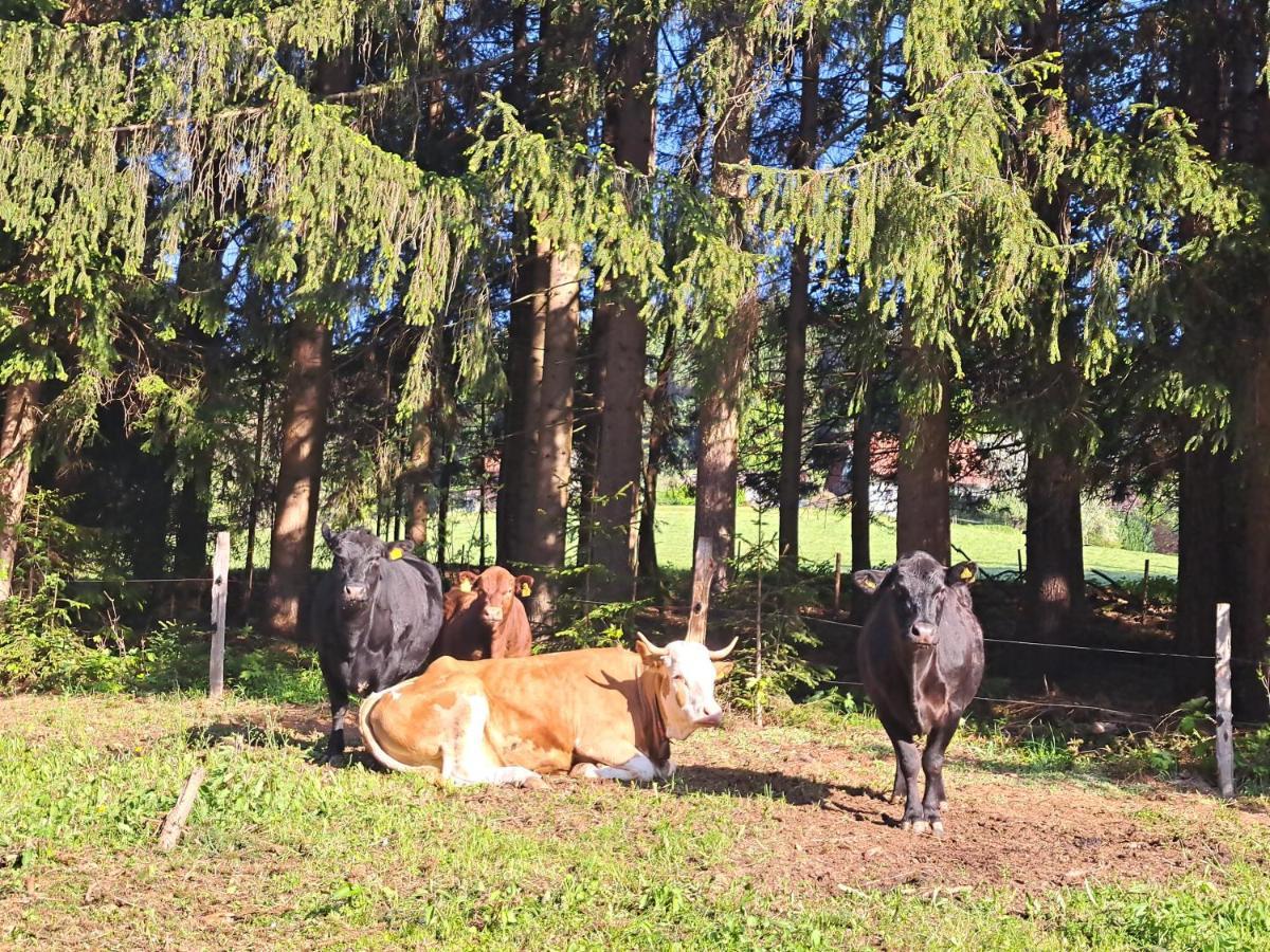 Gutschi Ranch *